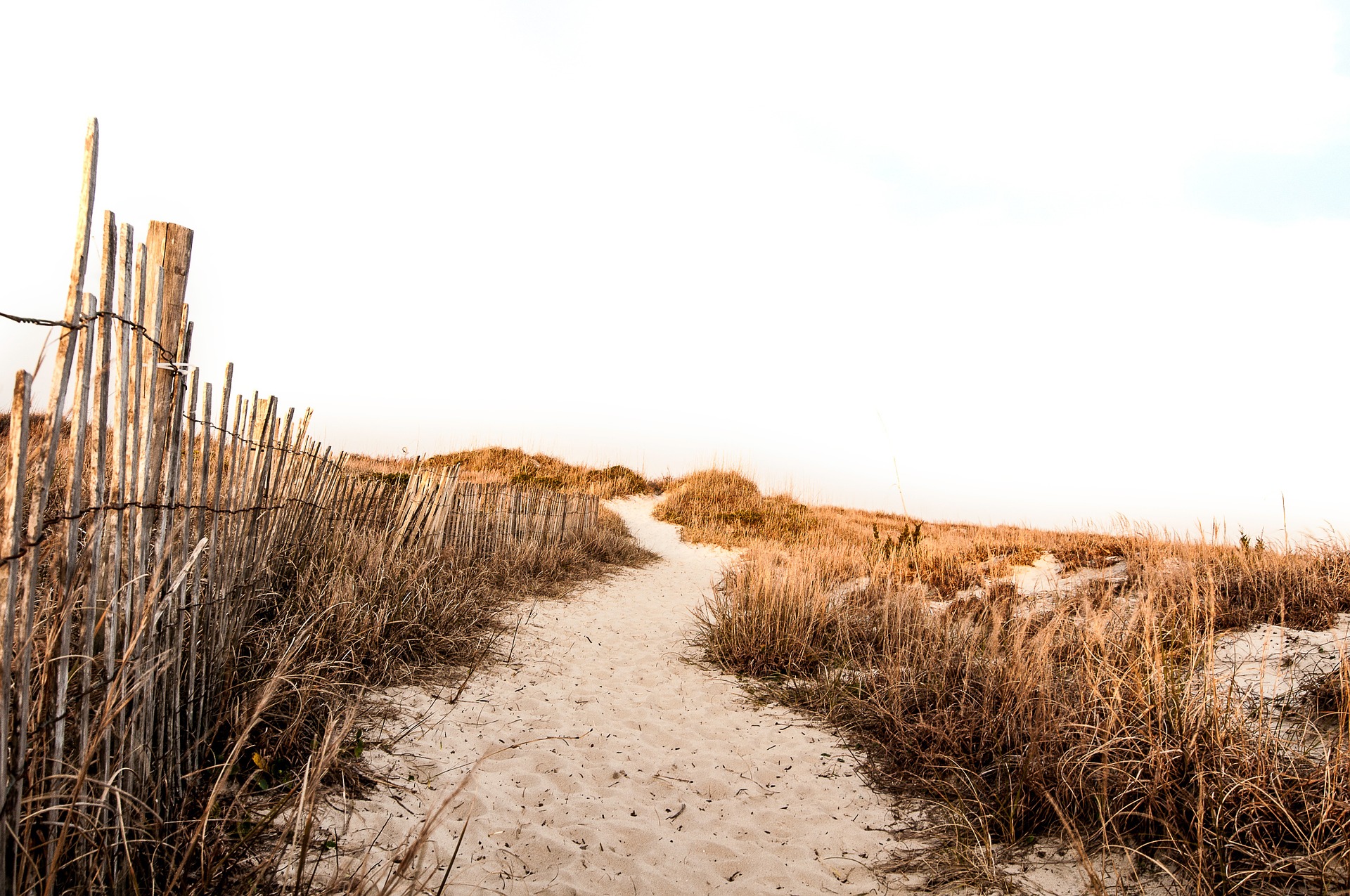 Beach Path